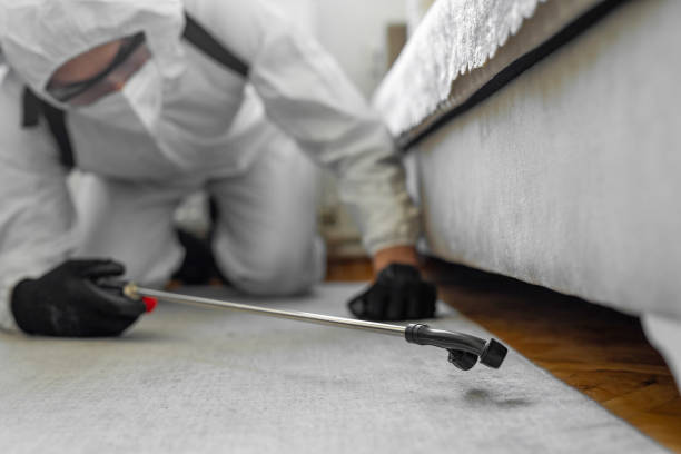 Professional Bed Bug Control technician working in Petersburg city County, VA